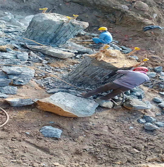 山东麻豆国产视频