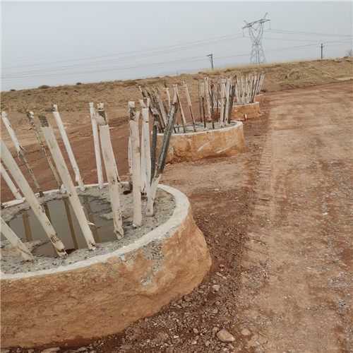 枣庄麻豆国产视频