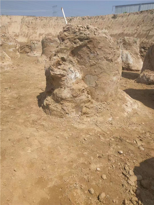 泰安麻豆国产视频