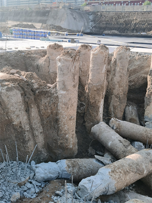 德州麻豆国产视频