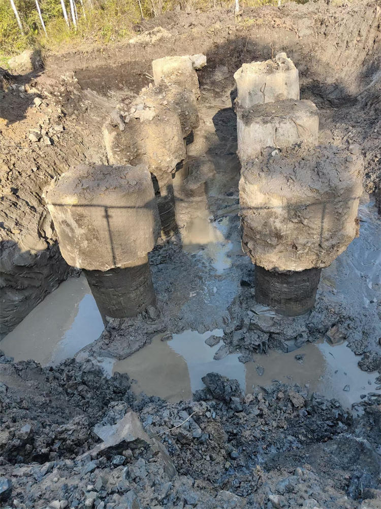 cfg麻豆国产视频