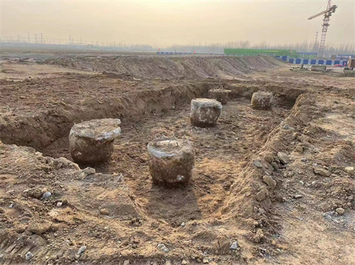 济南麻豆国产视频