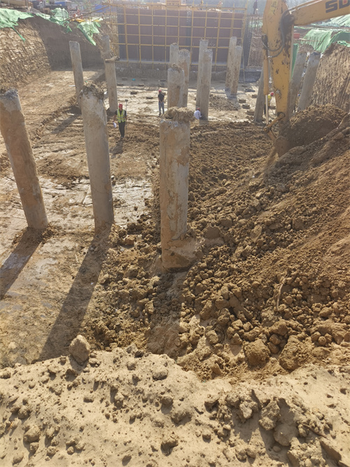 沛县麻豆国产视频