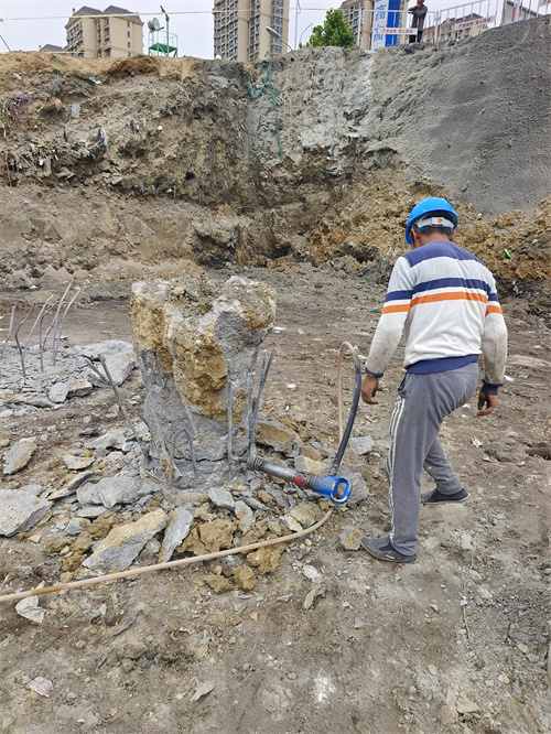 丰县麻豆国产视频