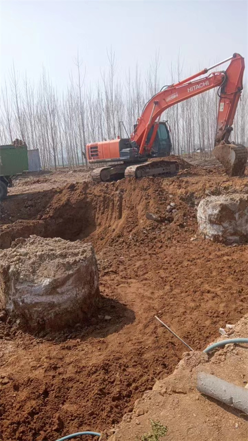 东平麻豆国产视频