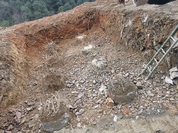 济南麻豆国产视频