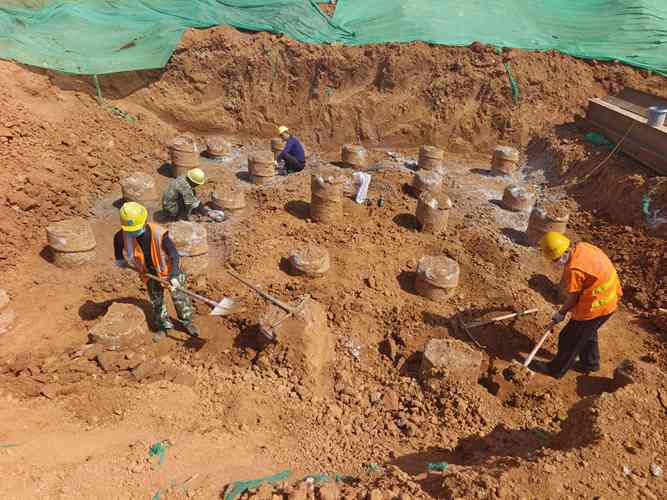 专业麻豆国产视频